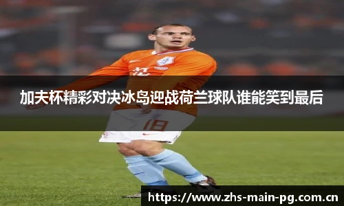 加夫杯精彩对决冰岛迎战荷兰球队谁能笑到最后